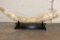Antique Hand-carved and Scrimshawed Chinese Tusk Horn made from Bone Plates