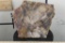 BIG 9lb 7oz Natural Arizona Rainbow PETRIFIED WOOD Slab Slice with Stand