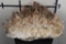 XXL 62lb 10oz Smokey and Honey Dogtooth CALCITE Crystal Cluster Formation