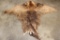 ELK Cape for a Taxidermy Shoulder Mount