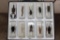 (10) Insects and Arthropods preserved in Resin Blocks with Labels (ONE$)