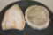 (2) PETRIFIED FOSSILIZED WOOD Slab Slices from Indonesia (ONE$)