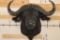 CAPE BUFFALO Shoulder Mount