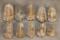 (10) TRILOBITE Fossils from Morocco (ONE$)