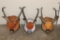 (3) Sets of Mounted PRONGHORNS on Wooden Plaques (ONE$)