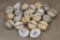 (20) Clear QUARTZ Crystal Geodes (ONE$)