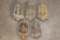 (5) TRILOBITE Fossil Specimens from Morocco (ONE$)