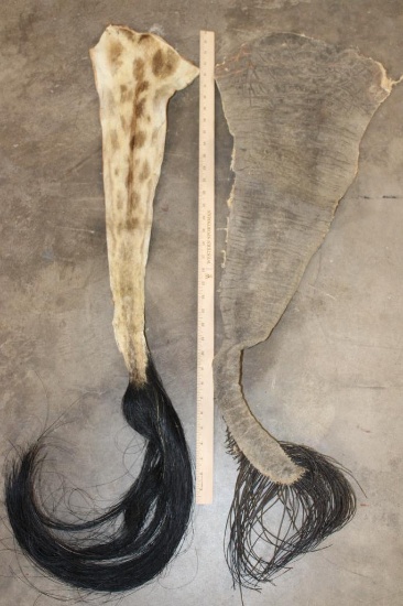 (1) GIRAFFE and (1) ELEPHANT Tail (ONE$)