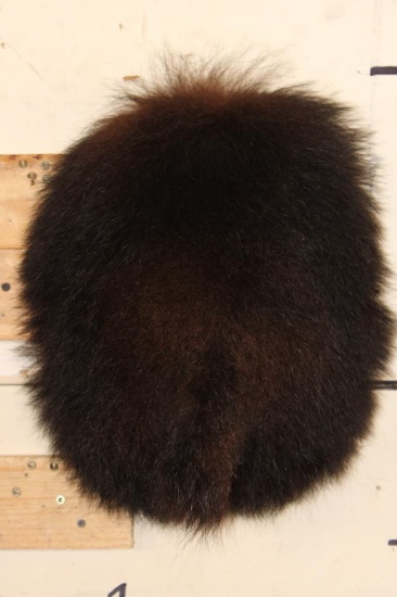 BLACK BEAR Bottom and Tail Mount