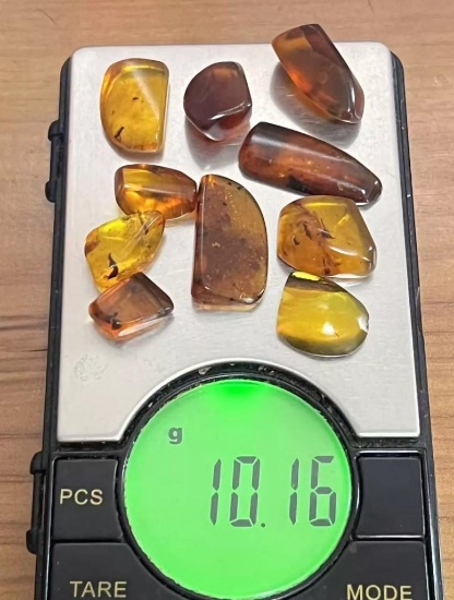 (10) Pieces of Authentic Myanmar AMBER with Insect Inclusions (ONE$)