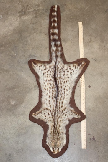 SERVAL CAT Hide Rug with Brown Felted Backing