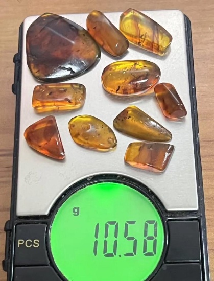 (10) Pieces of Authentic Myanmar Fossil AMBER Plant Resin with Insect and Plant Inclusions (ONE$)