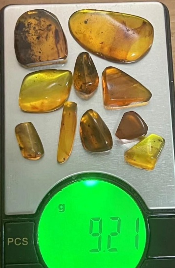 (10) Pieces of Authentic Myanmar AMBER Fossil Insect and Plant Specimens, Weight: 9.21 g (ONE$)