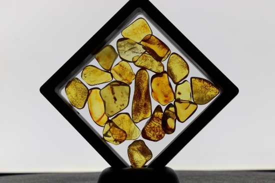 (20) Pieces of Authentic "Baltic Gold" AMBER Fossil Gemstones (ONE$)