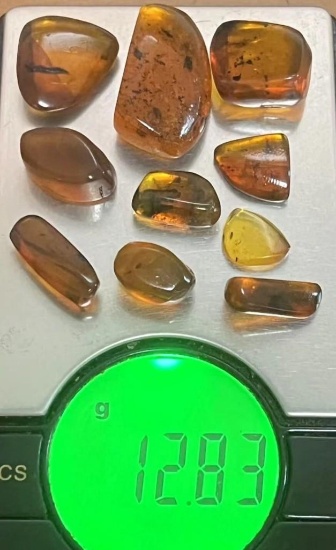 (10) Pieces of Authentic Myanmar AMBER Fossil Insect and Plant Specimens, Weight: 12.83 g (ONE$)
