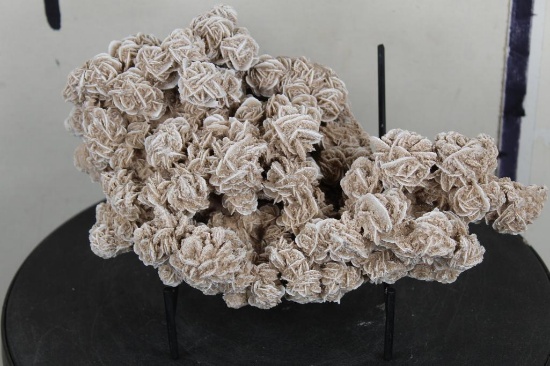 "Desert Rose" GYPSUM or SELENITE Crystal Formation with a Display Stand, Weight: 4lbs 5oz