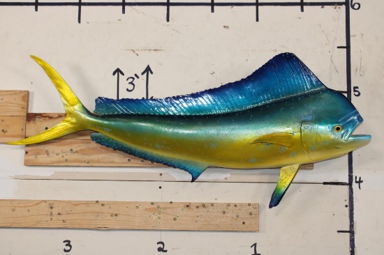 Reproduction MAHI MAHI Fish Mount