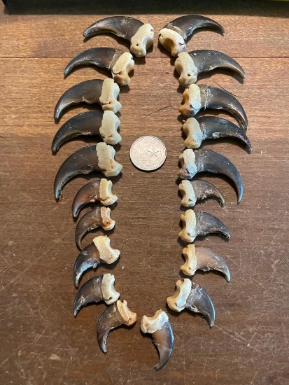 (20) Matching BLACK BEAR Front Claws-All from the same BEAR! (ONE$)