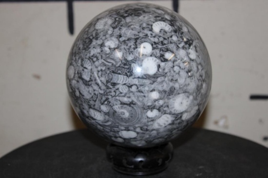 Big and *Rare* 9 lb CRINOID, AMMONITE and ORTHOCERAS Fossil Sphere with a Hand-carved Wooden Display