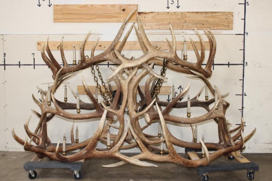 XXL Hand-made ELK Antler Chandelier Made from 20 Antler Sheds