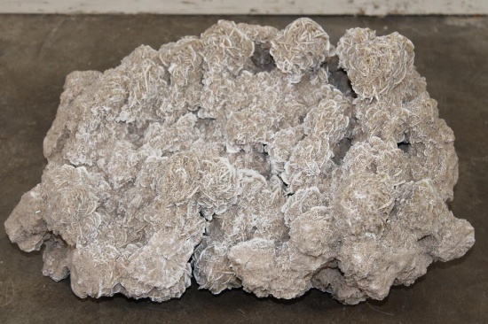 XXL 40 lb "Desert Rose" GYPSUM and Selenite Crystal Formation