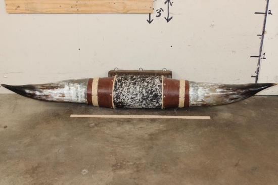 XL Polished and Mounted WATUSI Horns