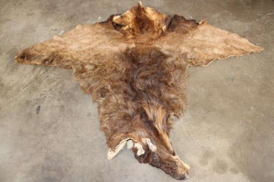 ELK Cape for a Taxidermy Shoulder Mount