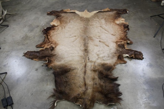 ELK Hide or Pelt