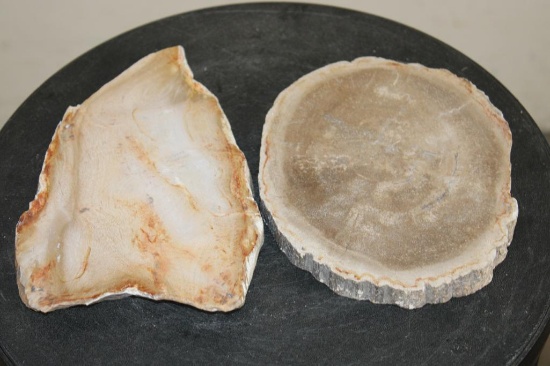 (2) PETRIFIED FOSSILIZED WOOD Slab Slices from Indonesia (ONE$)