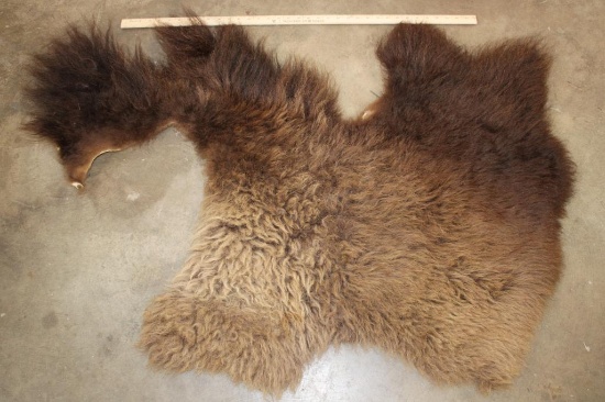 Partial BUFFALO/Bison Back Hide
