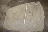 Big Soft and Tanned Piece of ELEPHANT Hide