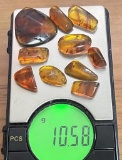 (10) Pieces of Authentic Myanmar Fossil AMBER Plant Resin with Insect and Plant Inclusions (ONE$)