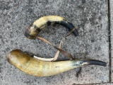 (1) Antique Powder Horn and (1) Antique Blow Horn for Hounds (ONE$)