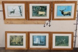(6) Wildlife Photo Prints with matching Frames (ONE$)