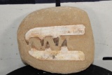 5 Authentic MOSASAUR TEETH Fossils in a Reproduction Jaw and Rock Matrix