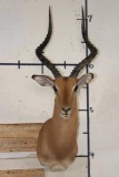 IMPALA Shoulder Mount