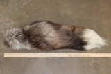 SILVER FOX Cross Tail on a Keychain