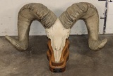 Massive Reproduction DESERT SHEEP Skull and Horns on a Wood Table Pedestal
