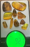 (10) Pieces of Authentic Myanmar AMBER Fossil Insect and Plant Specimens, Weight: 9.21 g (ONE$)