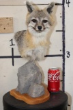 GREY FOX Table Pedestal