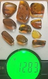 (10) Pieces of Authentic Myanmar AMBER Fossil Insect and Plant Specimens, Weight: 12.83 g (ONE$)