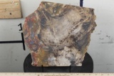 BIG 9lb 7oz Natural Arizona Rainbow PETRIFIED WOOD Slab Slice with Stand