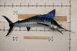 XXL Reproduction MARLIN Fish Mount