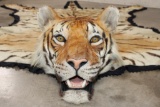 *TEXAS RESIDENTS ONLY* XL TIGER Rug with its Mounted Head and a Felt Bottom
