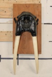 Antique Upper WALRUS Skull on a Wooden Plaque