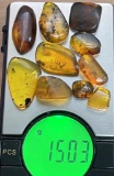 (10) Pieces of Authentic Myanmar AMBER Fossil Insect Specimens, Weight: 15.03 g (ONE$)