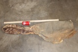 *Rarely Seen* Big African ELEPHANT Preputial Sheath or 