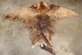 ELK Cape for a Taxidermy Shoulder Mount