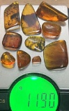 (10) Pieces of Authentic Myanmar AMBER Fossil Insect and Plant Specimens, Weight: 11.9 g (ONE$)