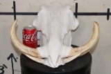 Big WARTHOG Skull with *Real* XL Tusks and Reproduction Teeth